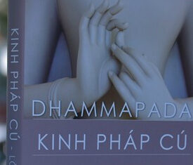 Nét đẹp xuất thế trong kinh Pháp Cú
