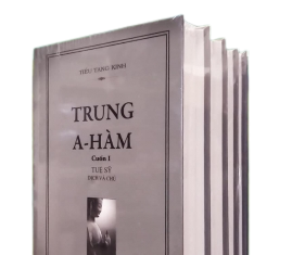 Mười Phương Pháp Đối Trị Buồn Ngủ Trong Kinh Trung A-hàm