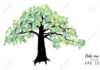 Phá chấp – căn bản của sự tu hành