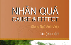 Nhân Quả – Cause and Effect (Song ngữ Việt Anh)