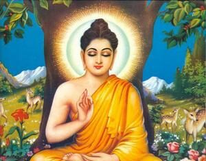 Người học Phật và những mối nghi khi đọc Kinh điển