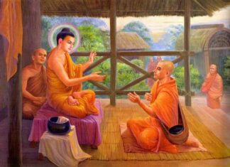 Nhân quả qua một câu chuyện