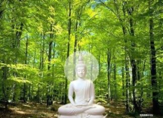 Tóm Tắt Về Thiền Chỉ Samatha Và Thiền Quán Vipassana