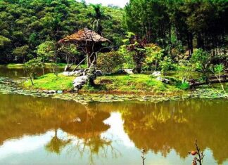 Những chuyện nho nhỏ