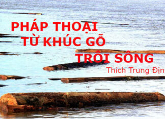 Pháp thoại từ khúc gỗ trôi sông
