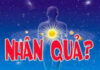 Nhân quả và con đường chuyển hóa