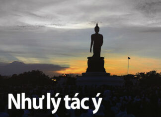 Như lý tác ý – lối về tuệ giác