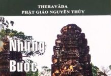 Những Bước Thăng Trầm