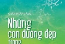 Những Con Đường Đẹp Trong Cuộc Đời