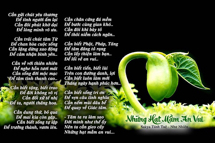 nhung hat mam an vui nhung hat mam an vui