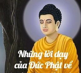 Những Lời Dạy Của Đức Phật về Hòa Bình và Giá Trị Con Người