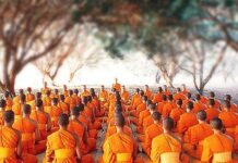 Phàm thánh cũng từ đây