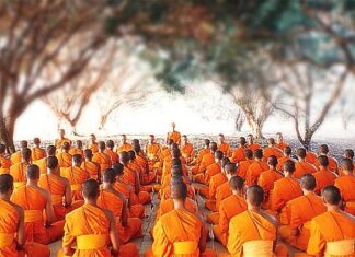 Phàm thánh cũng từ đây