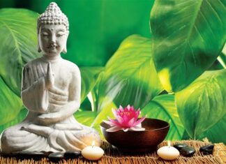 Nhìn trái mà thấy người