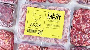 Người Tu Thiền Vipassana Có Nên Ăn Thịt Nuôi Cấy Trong Phòng Thí Nghiệm Không? Should Vipassana Meditators Eat Lab-grown Meat