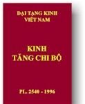 Con đường không có lầm lỗi