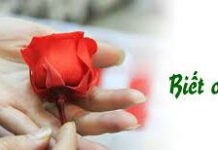 Biết ơn – nền tảng của hướng thiện