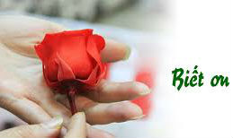Biết ơn – nền tảng của hướng thiện