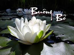 Buông bỏ
