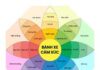 Chuyển Hóa Cảm Xúc Tiêu Cực | Thích Thiền Như