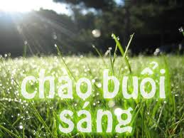 chaobuoisang