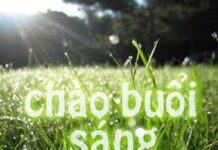 Chào Buổi Sáng Tinh Mơ