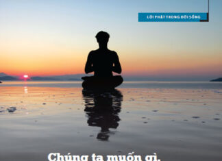 Chúng ta muốn gì, tìm gì?
