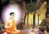 Cư sĩ thuyết pháp