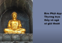 Đức Phật Dạy: Thường Trực Thấy Vô Ngã Sẽ Giải Thoát