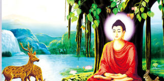 Đức Phật Thành Đạo Và Giá Trị Thực Tiễn