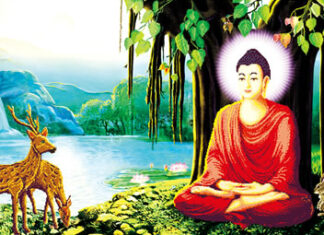 Đức Phật Thành Đạo Và Giá Trị Thực Tiễn