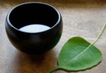 Cúng dường hoa quả, đèn, nước có ý nghĩa gì?