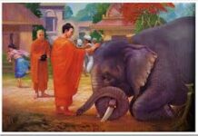 Đạo Đức Phật Giáo Từ Điểm Nhìn Giới Không Sát Sanh