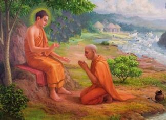 Ai lấy đức tin của con?
