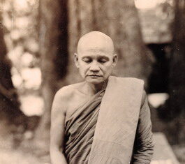 Họ Đã Nghĩ Như Thế – Ajahn Chah
