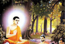 Học Lời Phật Dạy Qua Kinh Tử Pháp