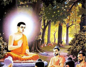 Học Lời Phật Dạy Qua Kinh Tử Pháp