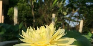 Họa – Phước