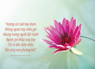 Hương Đức Hạnh Của Người Trì Giới