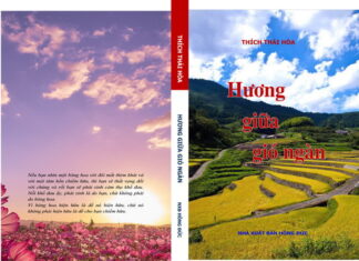 Hương giữa gió ngàn