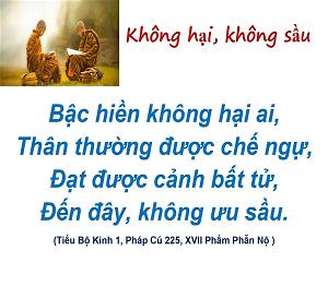 Không hại, không sầu