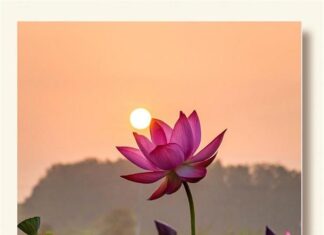 Học, Hiểu, Tu Và Sống | Nguyên Giác