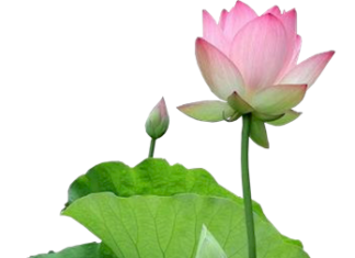 Im Lặng Như Pháp