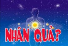 Hiểu về nhân quả