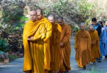 Khi chúng tôi yêu thích thiền hành