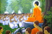 Hổ thẹn với chú chăn bò!