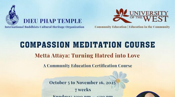 Join Us for the Final Compassion Meditation