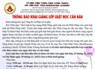 THÔNG BÁO KHAI GIẢNG LỚP LUẬT HỌC CĂN BẢN ONLINE – THÁNG 11/2025
