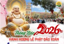 Thông Báo Tổ Chức Hành Hương Lễ Phật Đầu Năm Bính Ngọ 2026 – Chùa Diệu Pháp & Chùa Điều Ngự