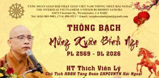 THÔNG BẠCH XUÂN BÍNH NGỌ